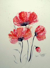 Rote Blüten